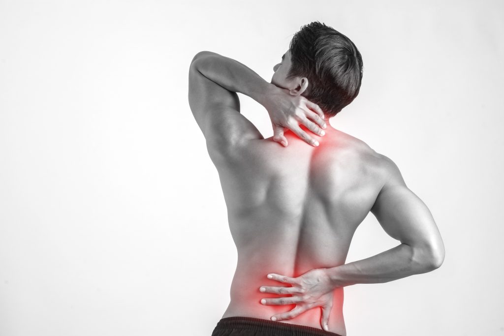 muscle adhesions massage in gainesville fl